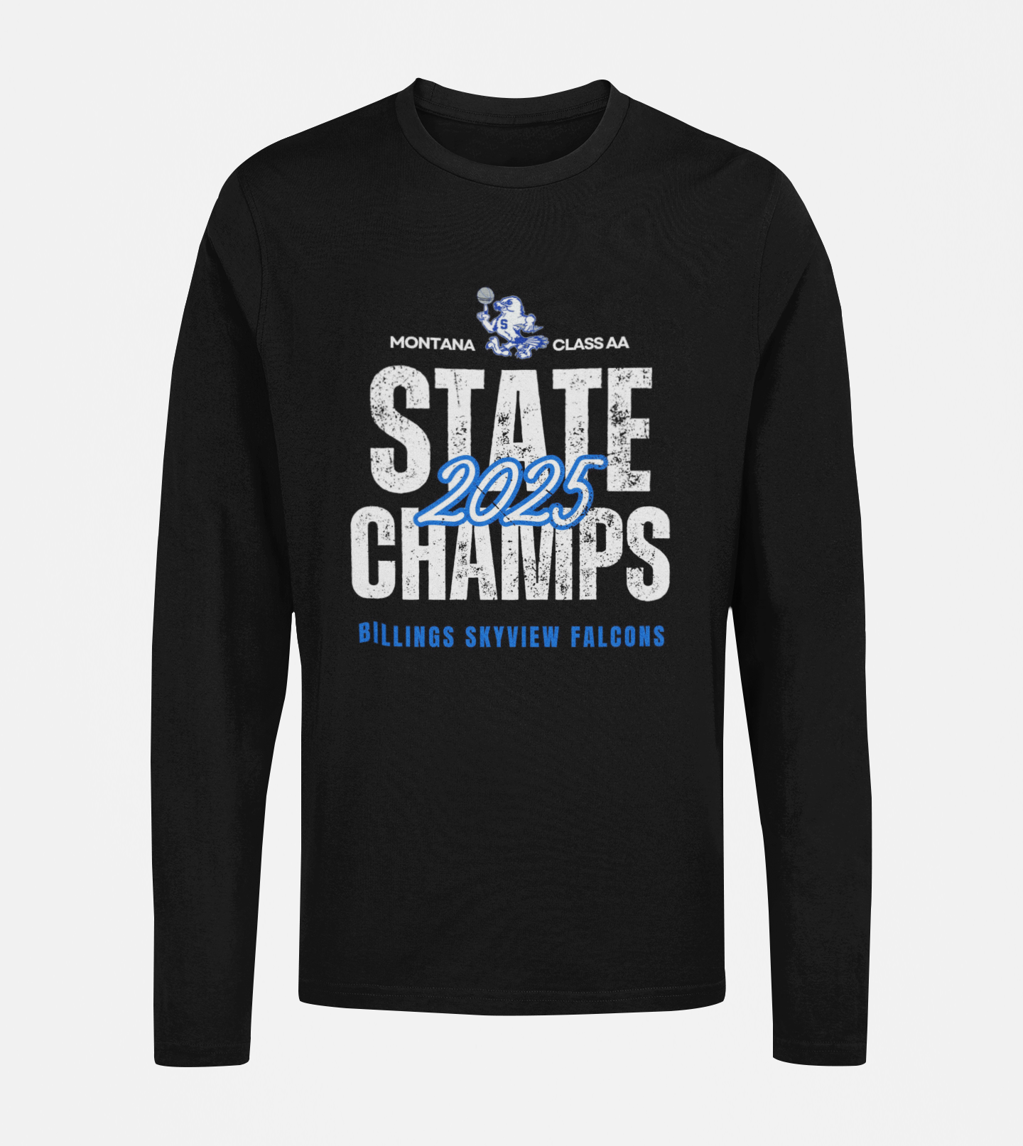 Gildan Heavy Cotton Long Sleeve State Champs 2025